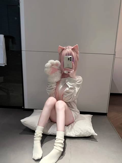 野生猫咪