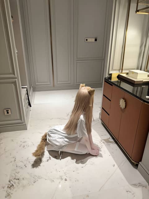小猫咪